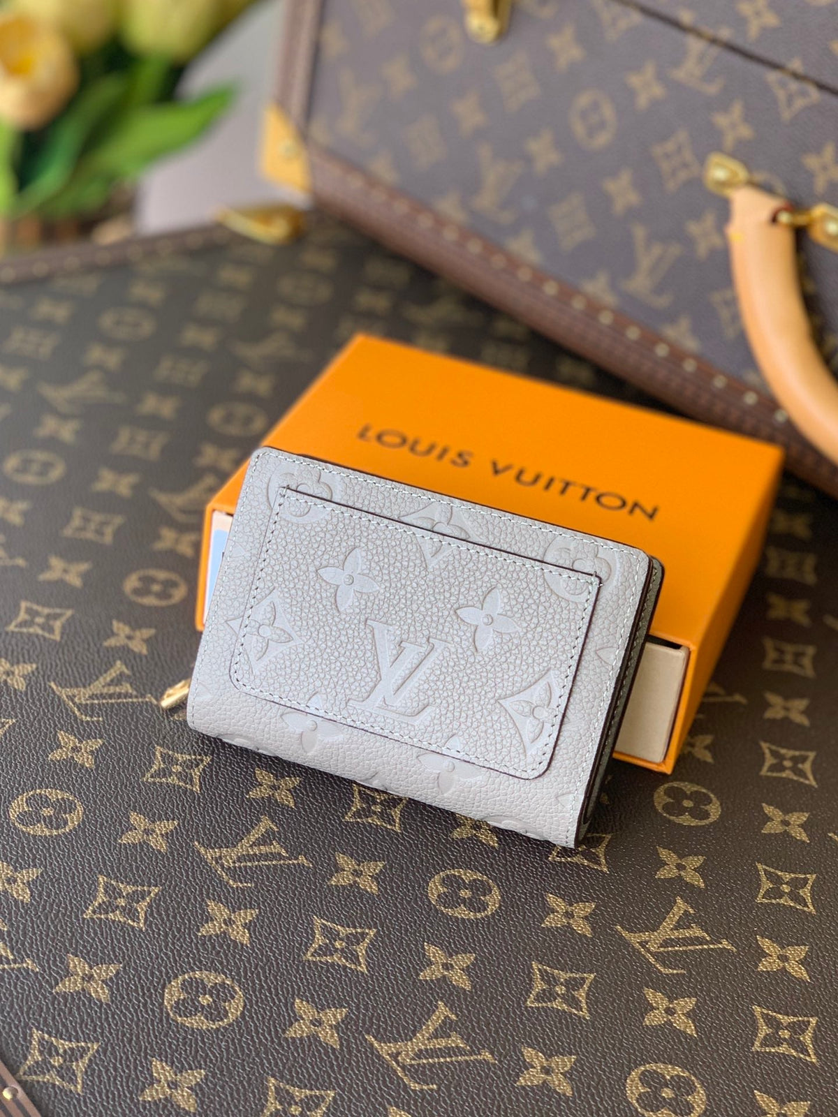 card holderwallet coin purse